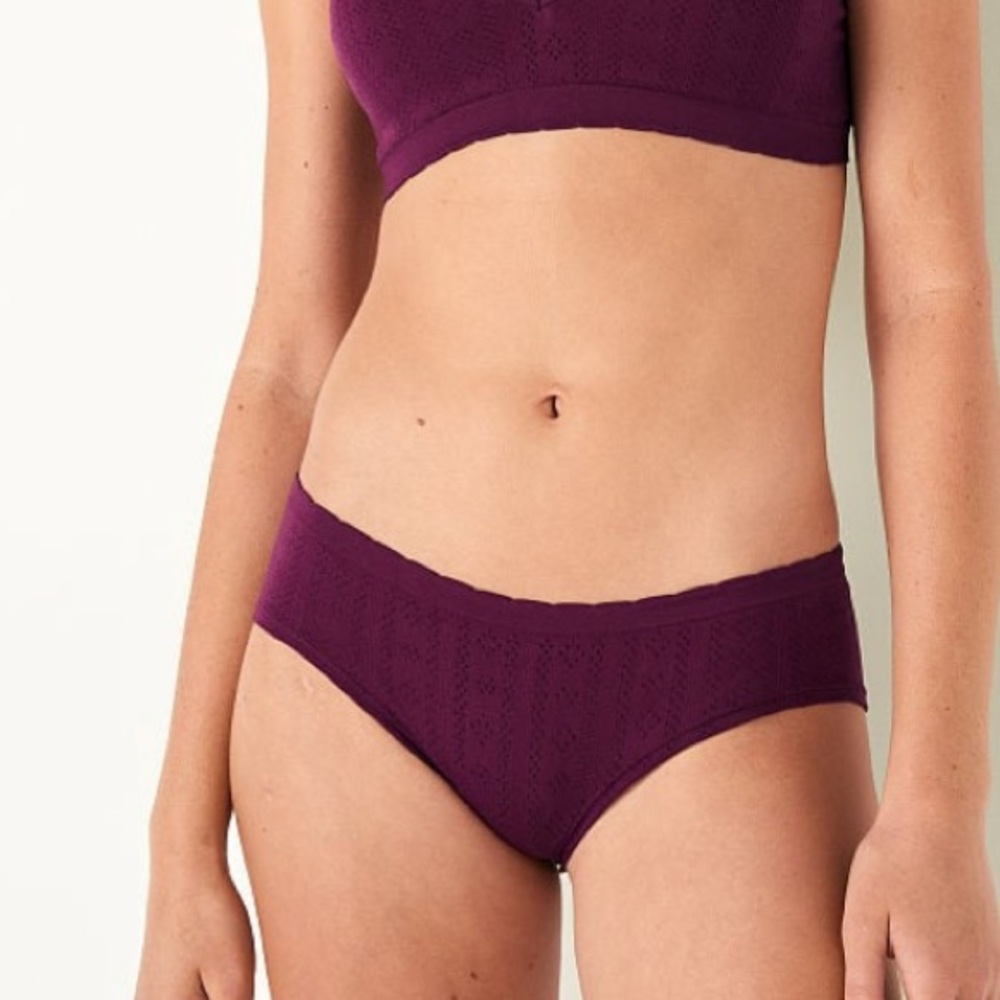 NWT Victoria’s Secret PINK pointelle hipster undies.